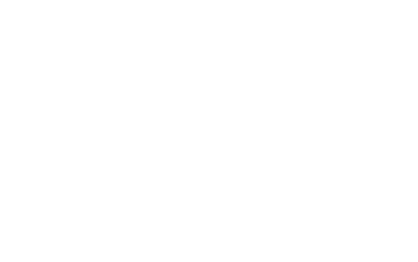 Onitsuka Tiger
